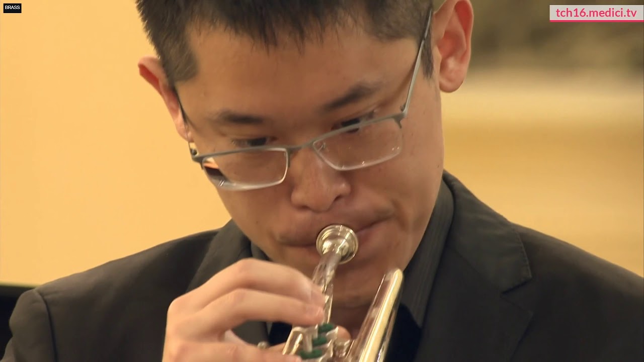 Haydn trumpet concerto 1st movement