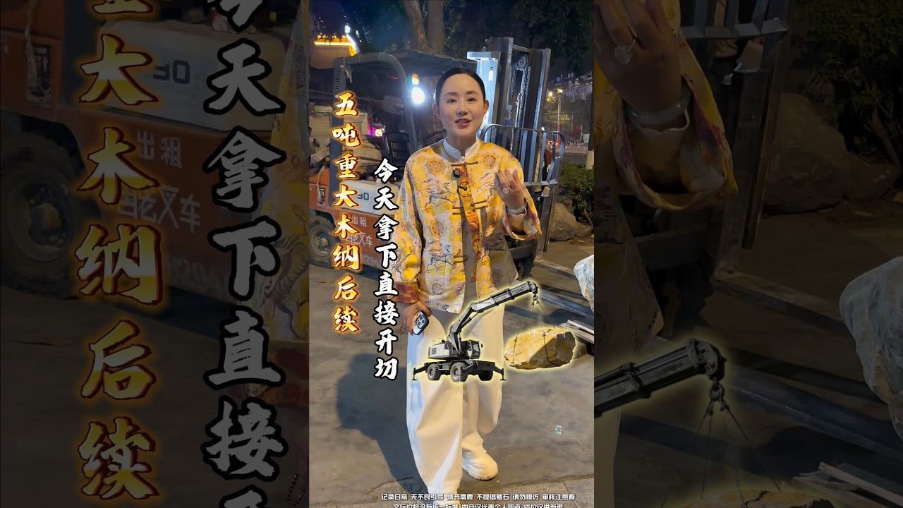 五噸重木納大料後續，今天能不能開切！#以石会友 #翡翠 #翡翠手鐲 #jade #熱門 #玉佩 #推薦 #翡翠实战