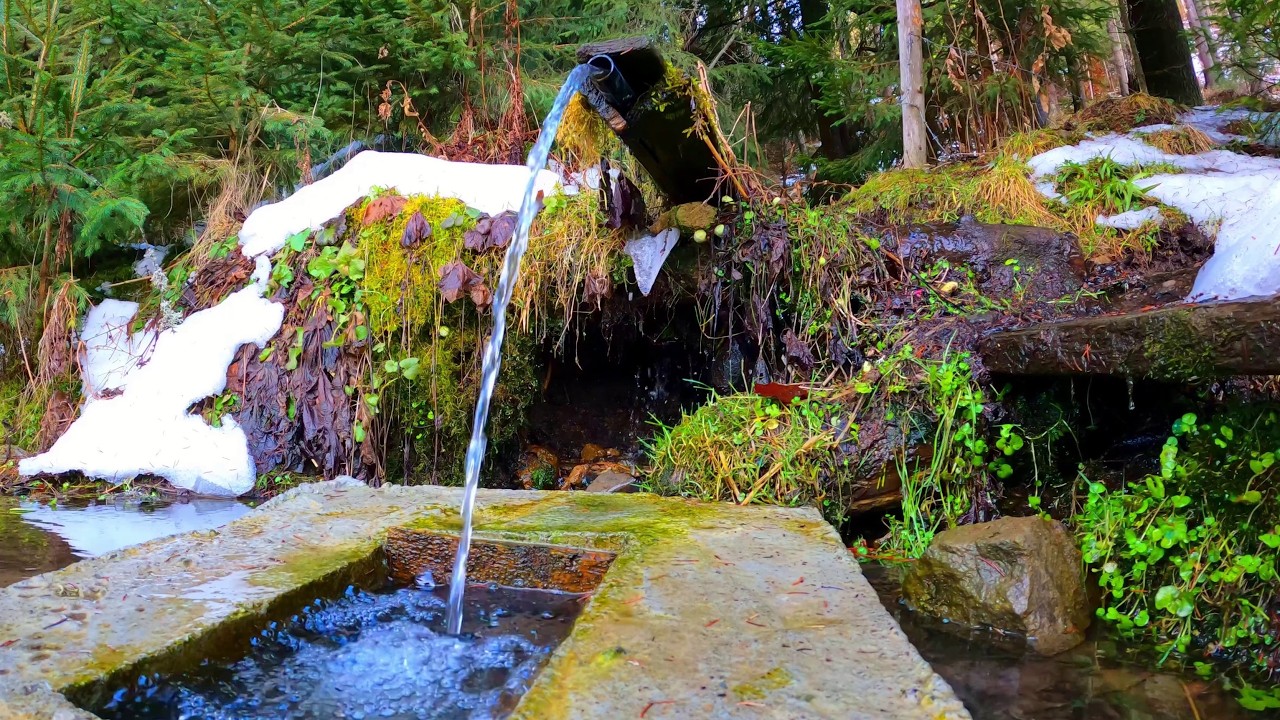 Relaxing Forest Water ASMR – Stream, No Music, Natural Sounds 4K (2h 40m)