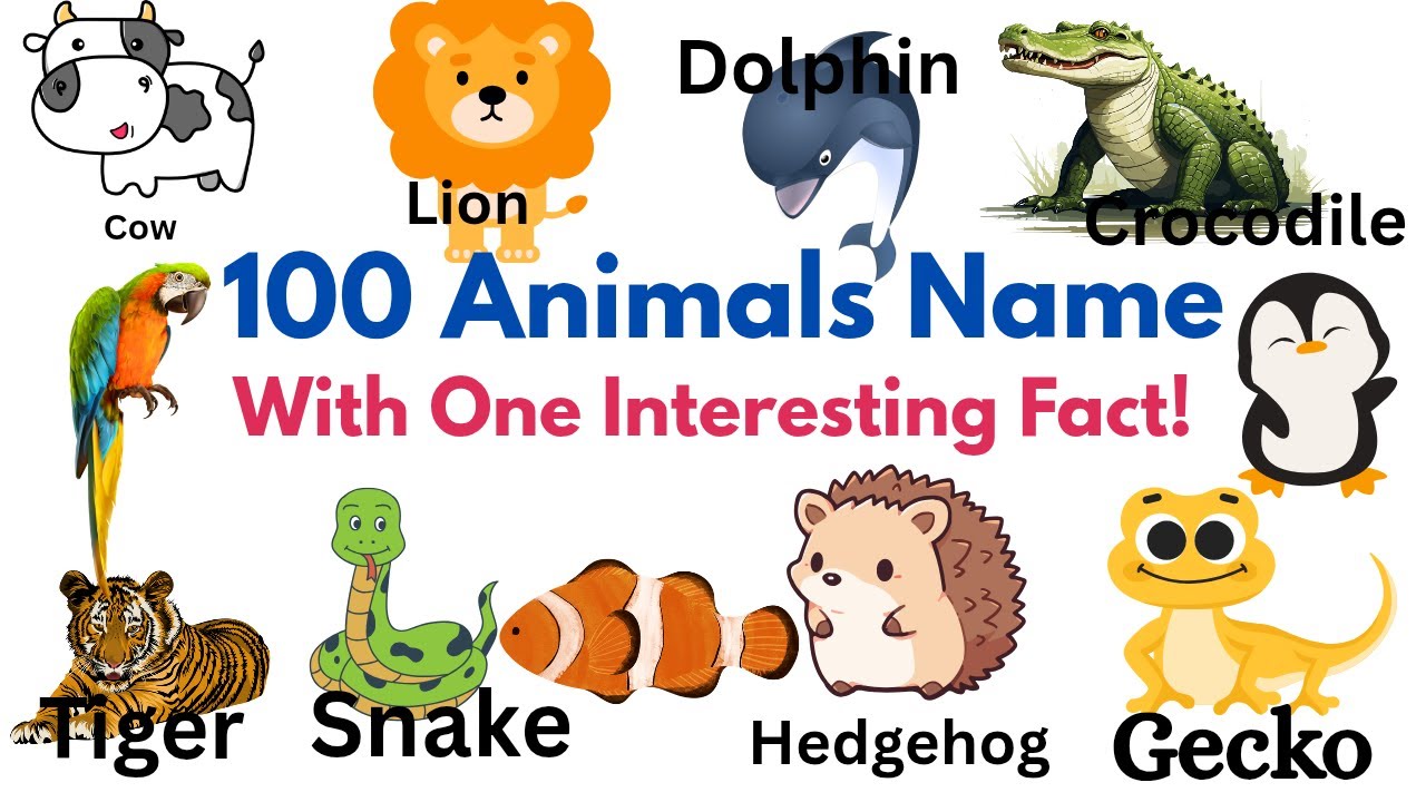 100 Animals Name and Their Fun Fact for Kids | 100 Animals Name with Picture | Learn Animals name