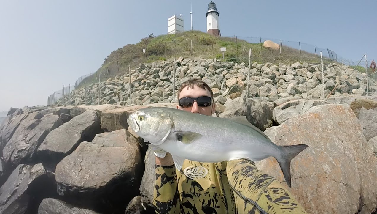 May Montauk Blues Surf Casting Under the Light.