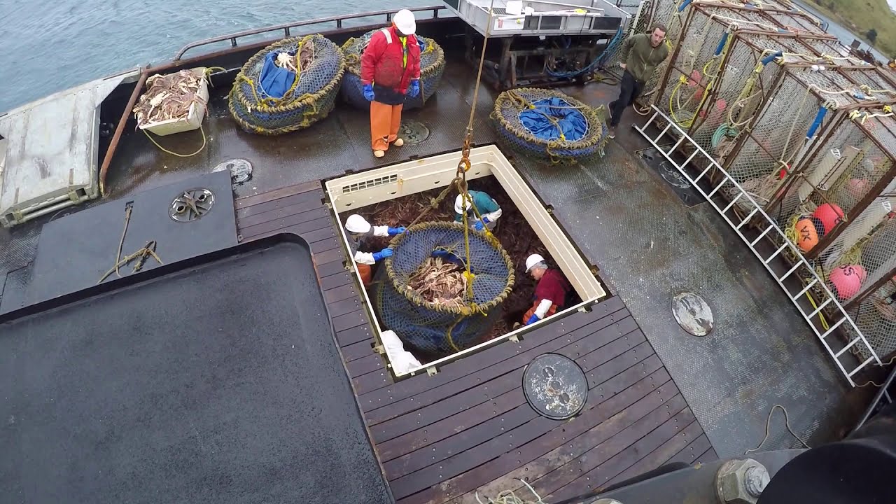 Crab Fishing Vessel Bering Star offloading King Crab Alaska Bering Sea