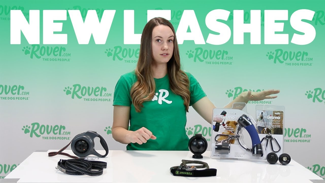 4 Innovative Dog Leashes Tested & Reviewed | Rover Product Review