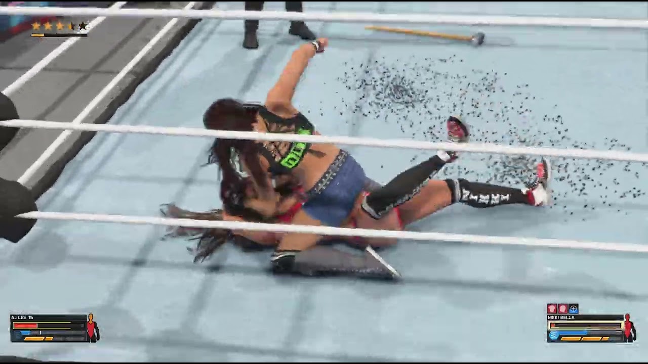 Aj Lee vs Nikki Bella