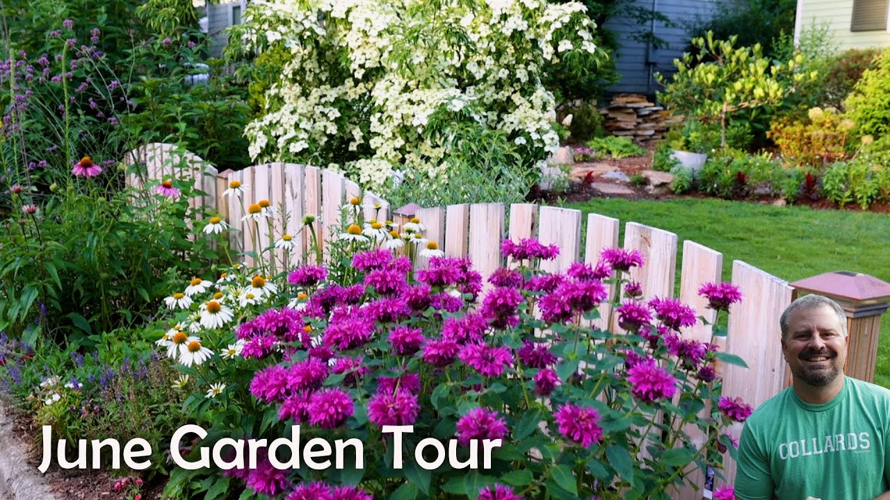 June Garden Tour - Pineapple Guava, Pollinators Galore, Hydrangeas, Beautyberry, Clethra, Vitex