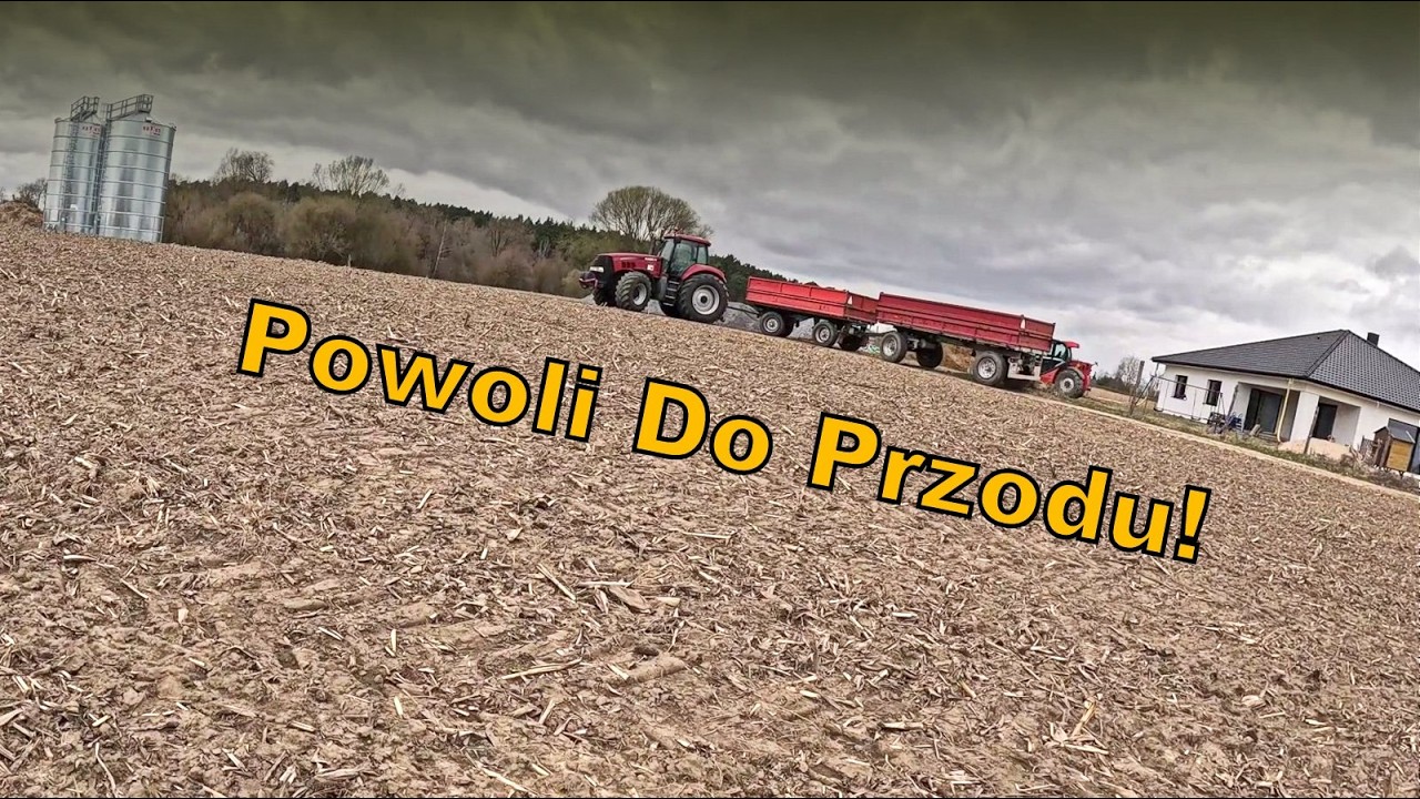 Wożenie ziemi z budowy - Czy z tego rzepaku coś będzie!?