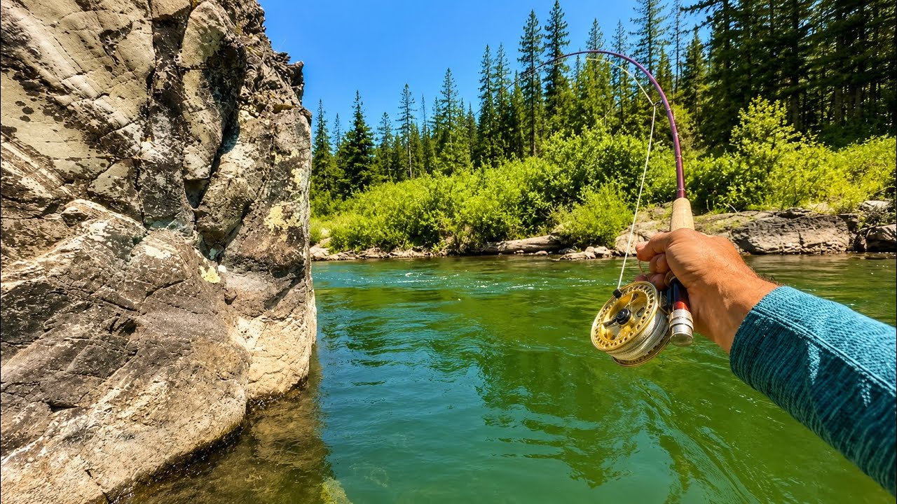 My Biggest Brown Trout EVER! (Fly Fishing)