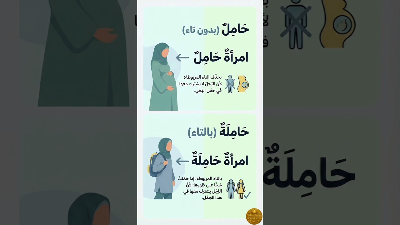 تعلم العربية: سر التاء المربوطة! (لماذا نقول امرأة 