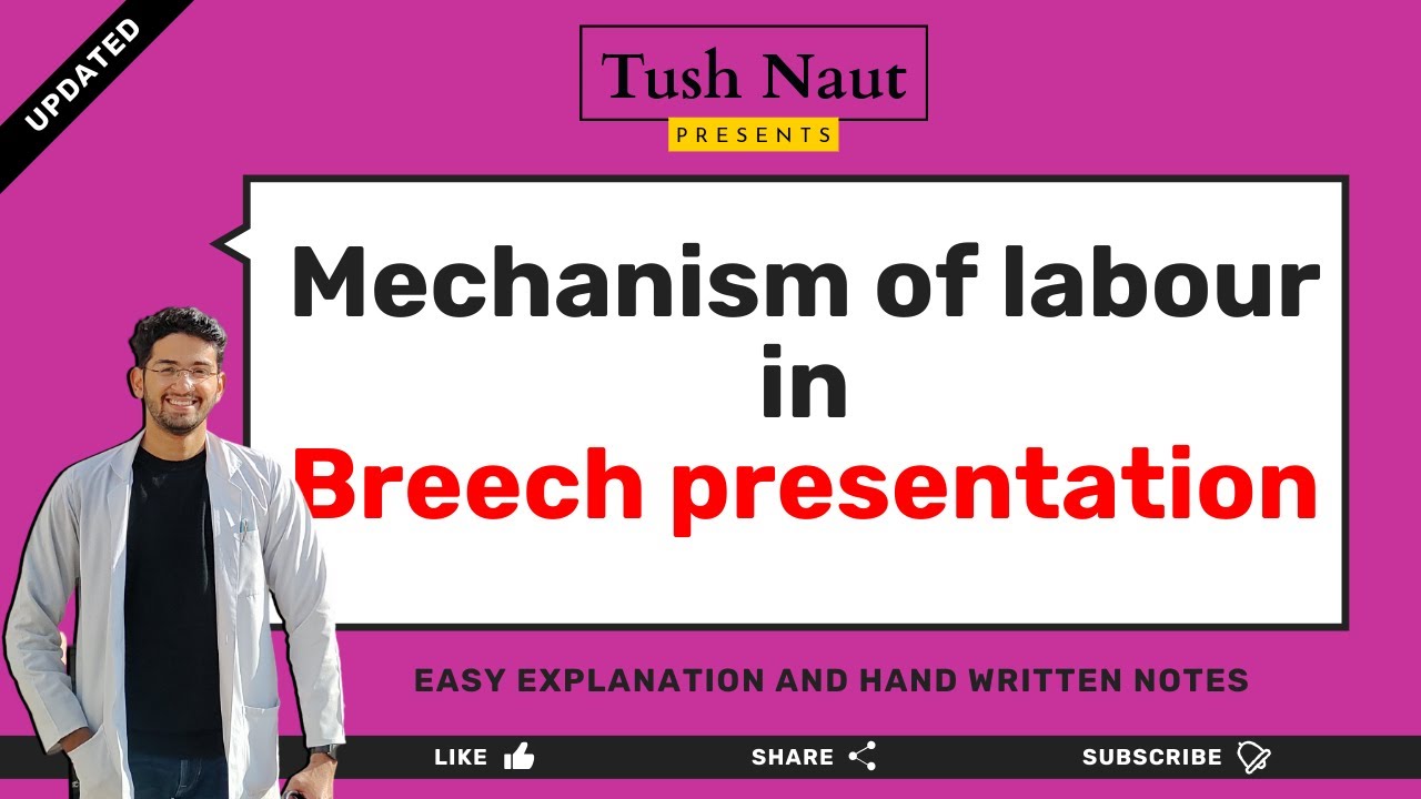 Mechanism of labour in breech presentation - Easy explanation in Hindi #obstetrics #breech #tushnaut