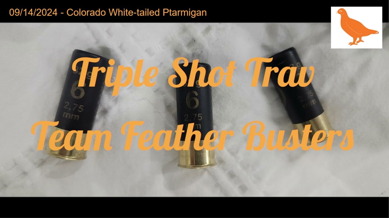 Colorado White-tailed Ptarmigan Hunting 20240914
