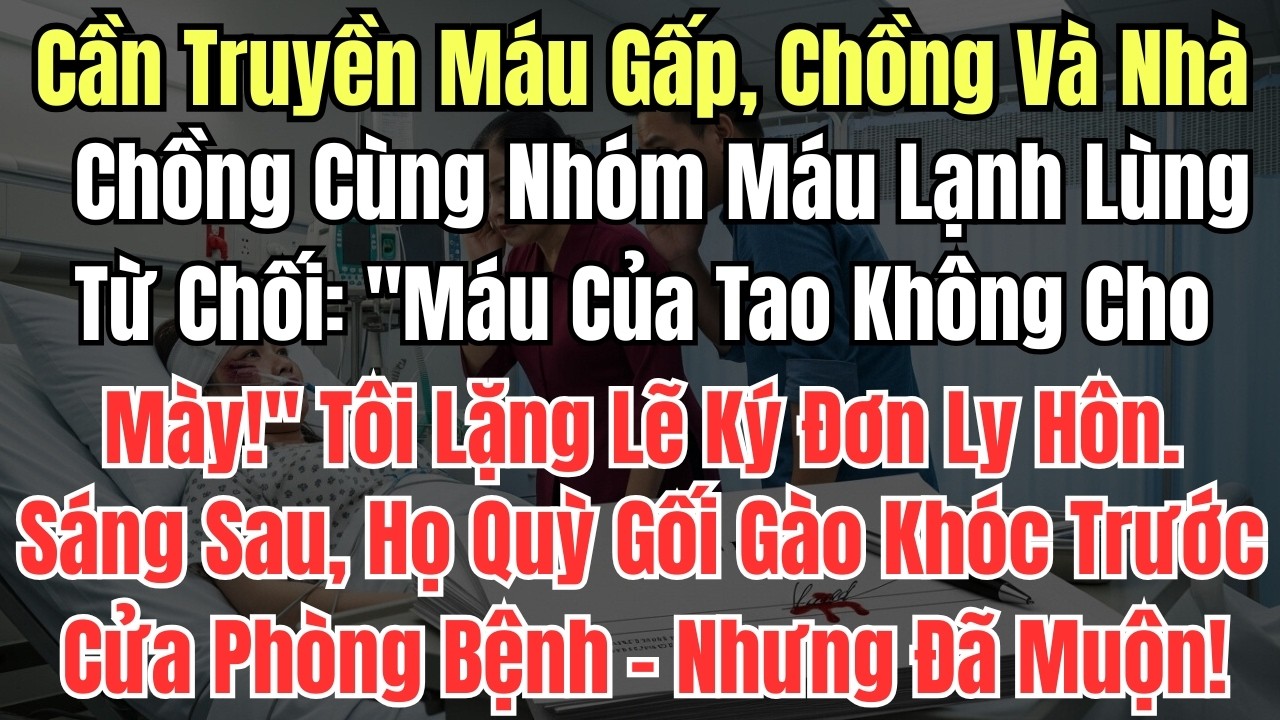 Cần Truyền Máu Gấp, Chồng Và Nhà Chồng Cùng Nhóm Máu Lạnh Lùng Từ Chối: 