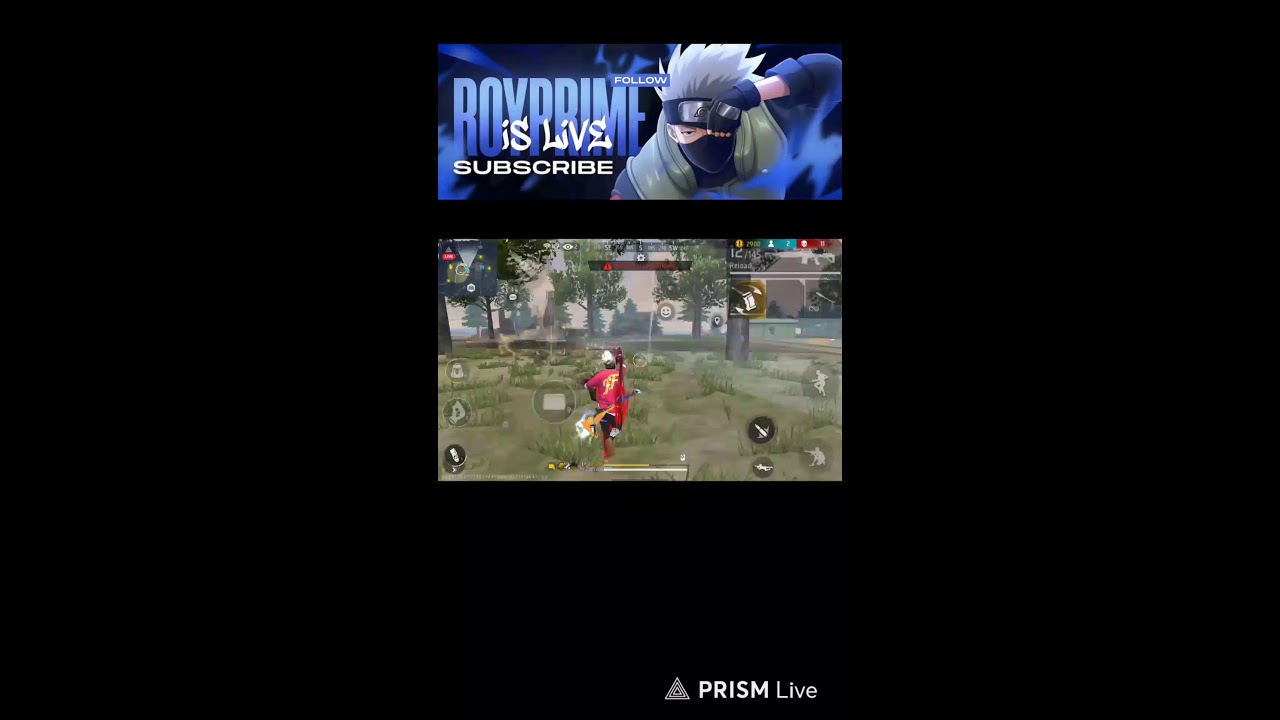 Live streaming of royprimex