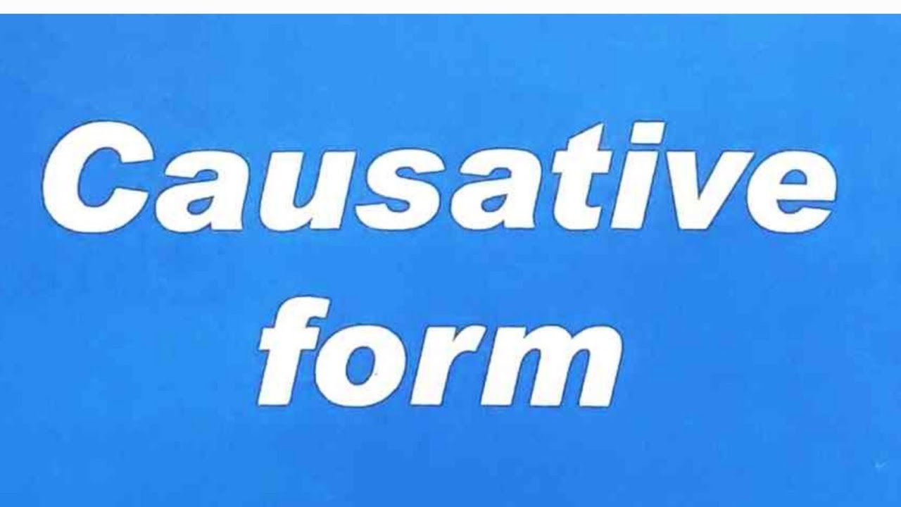 #MİQ #SERTİFİKASİYA #TAİM #CAUSATİVE