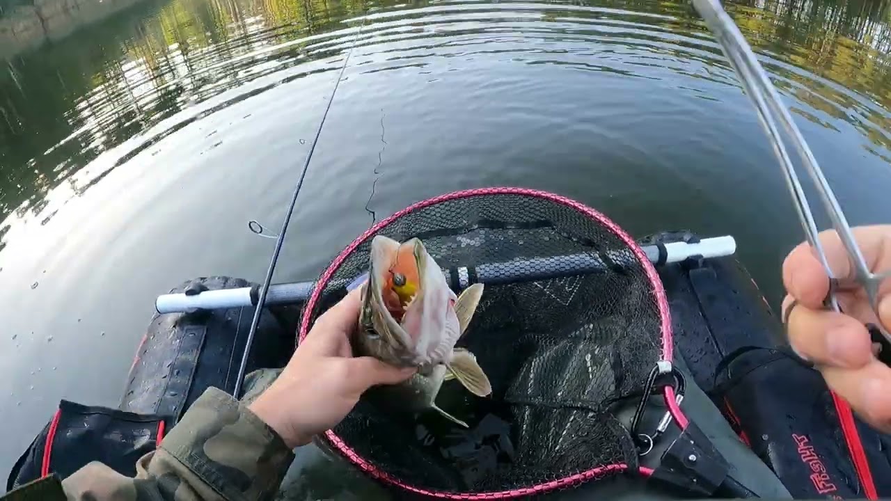 Szczupaki na belly