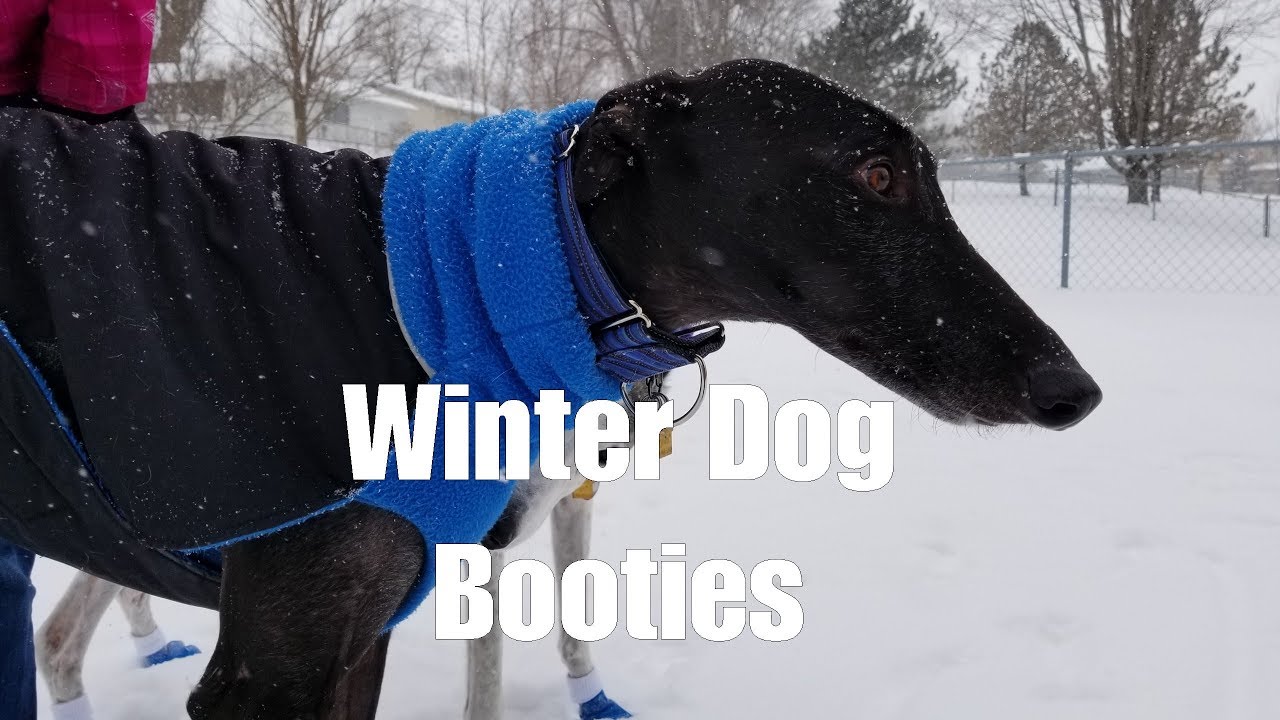 Winter Dog Booties [3.02A]