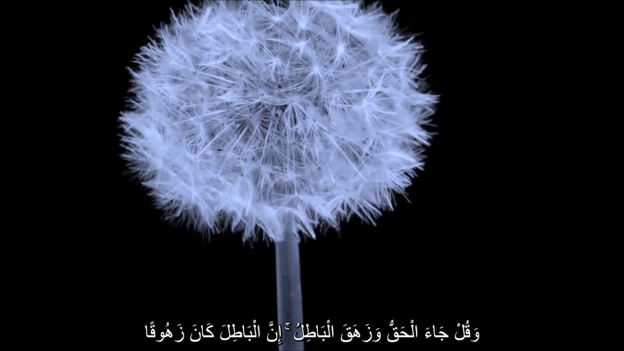 التعامل مع الصعوبات - مقطع من خطبة نعمان علي خان- Dealing with Hardship- Nouman Ali Khan