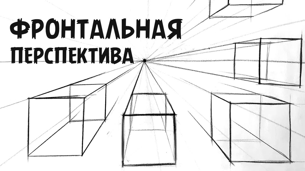 Фронтальная перспектива.