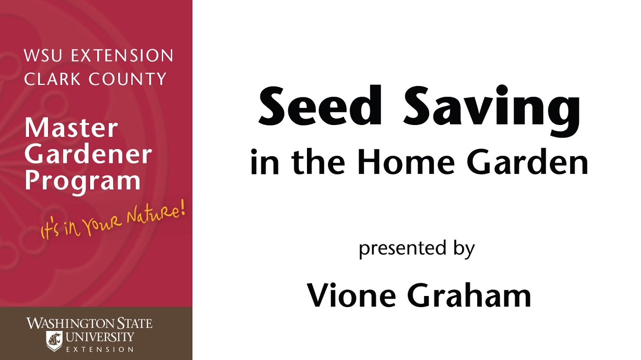 Saving Seeds in the Home Garden