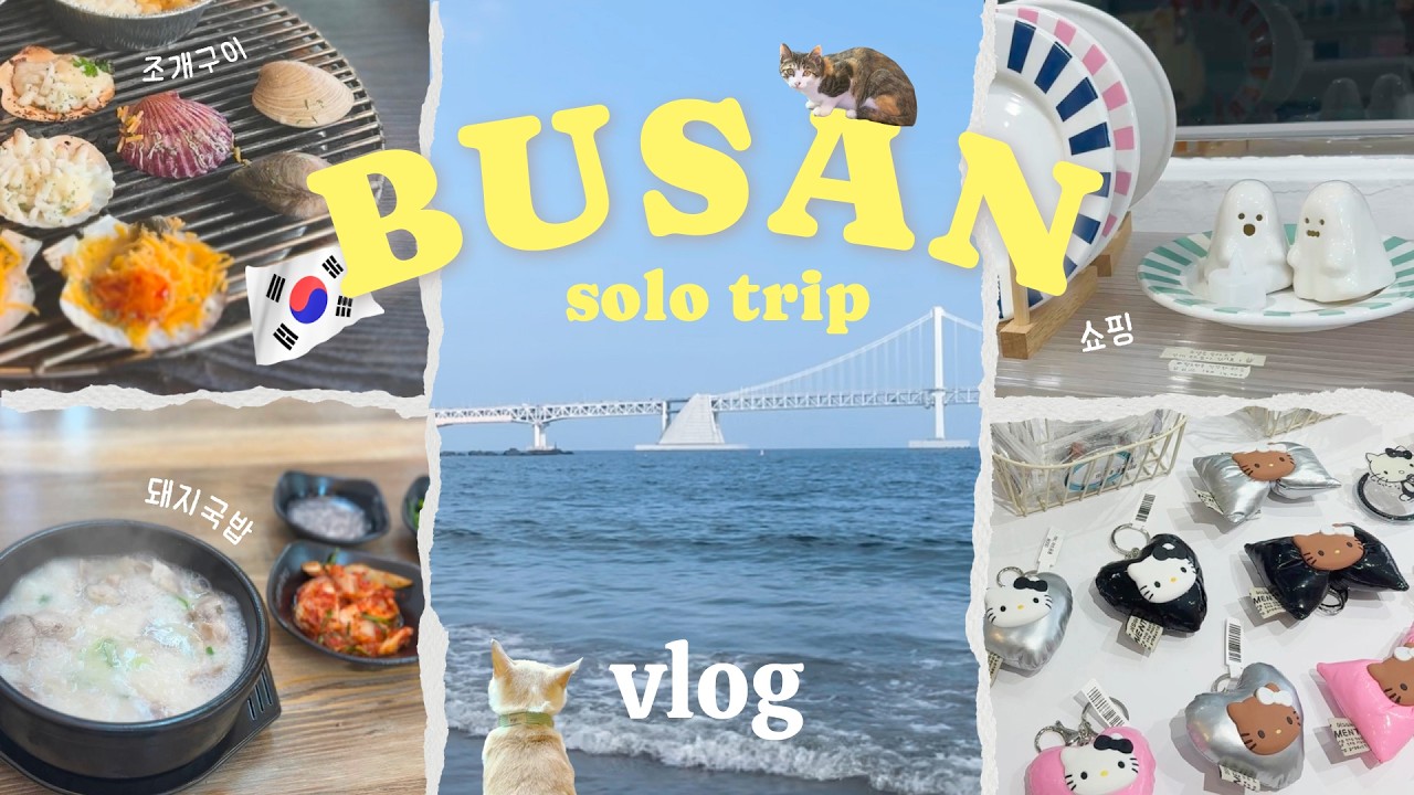 【釜山vlog】大充実一人旅🐬🏝🤍グルメ、カフェ｜雑貨屋巡り🎀海雲台海岸列車🌊｜広安里の最高オーシャンビューホテル✨