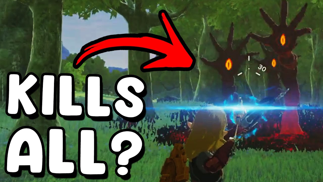 I Busted 15 Myths In Zelda Tears Of The Kingdom #8