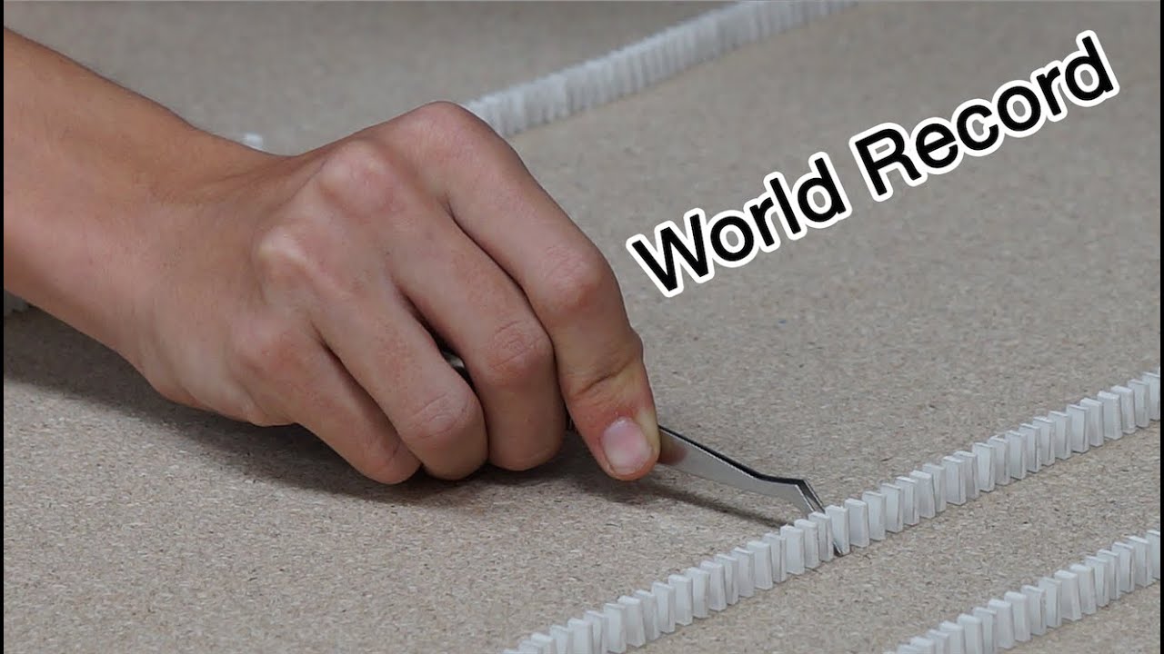 Guinness World Record - Most mini dominoes toppled