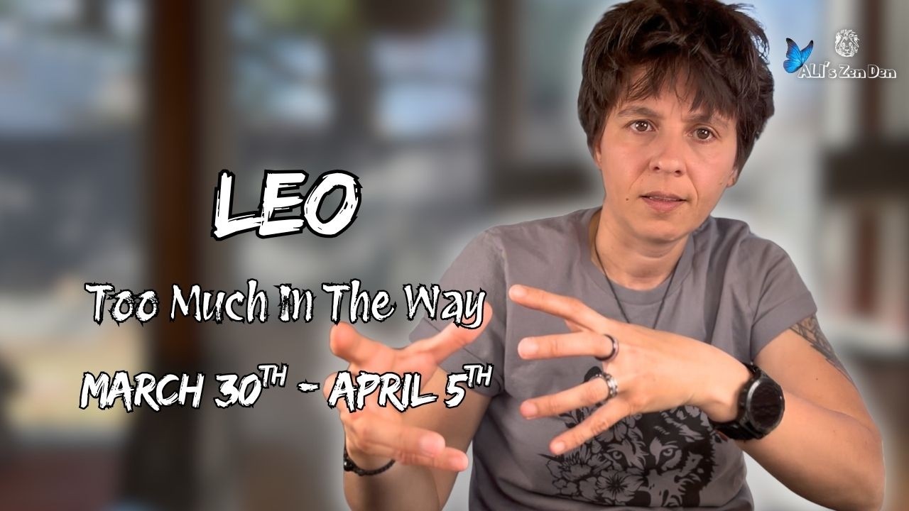 LEO ♌︎ - 