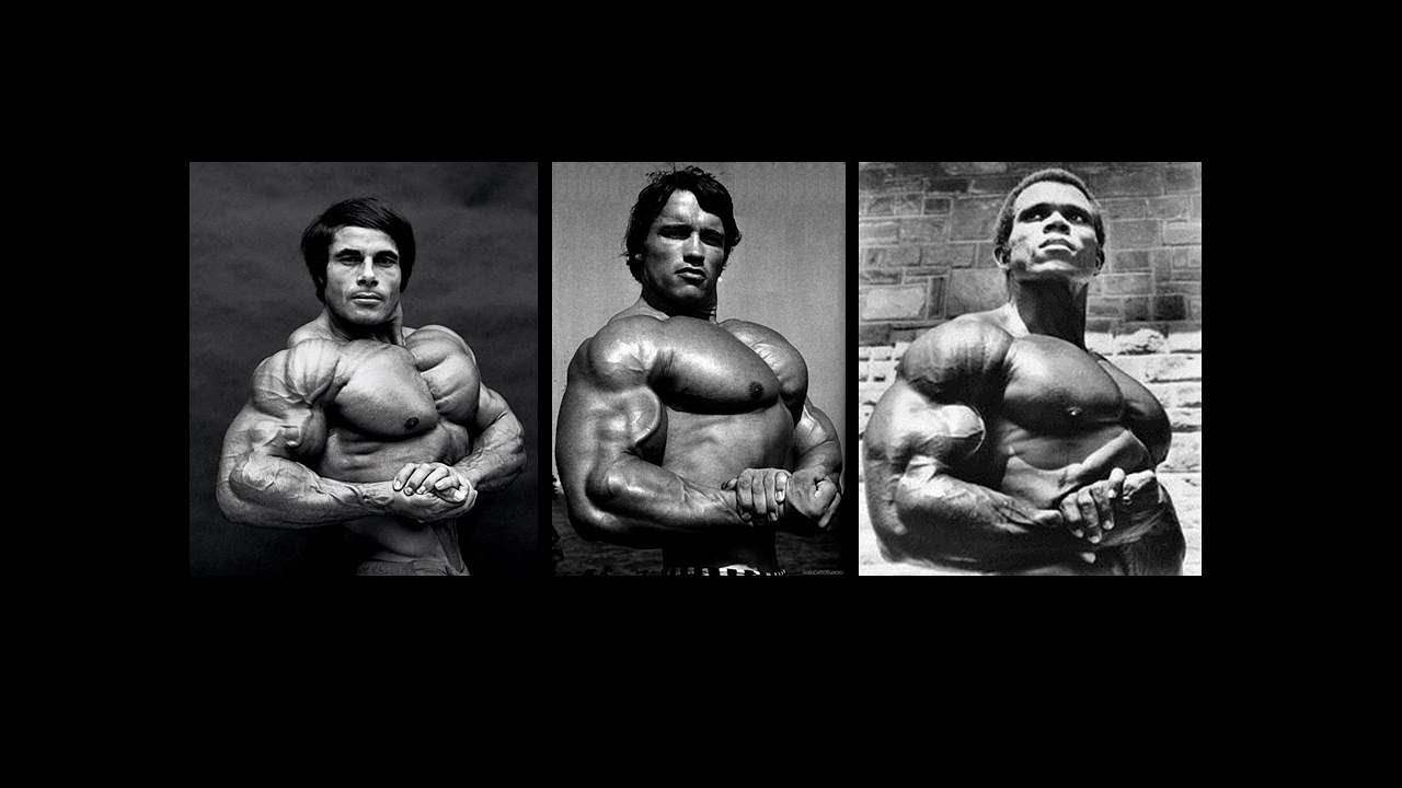 Sculpting the Chest by Larry Scott
