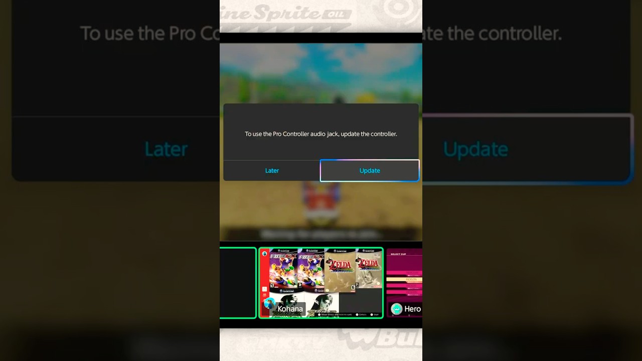 You probably shouldn't do this with your Switch 2...