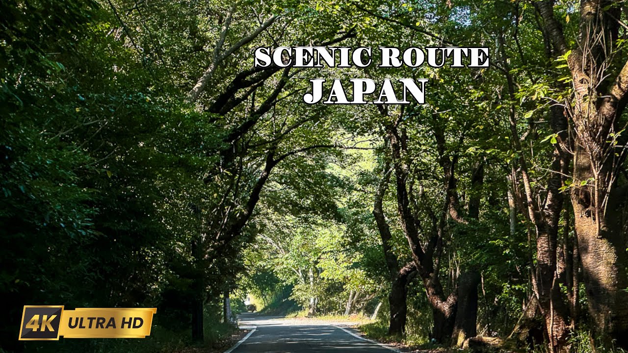 Driving Through Izu Peninsula | Japan Scenic Road Trip 4K 🛣️🚙