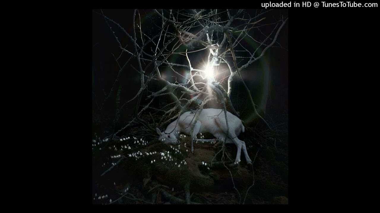 *FREE* pyrokinesis & sted.d type beat — when angels fall (prescriptionsosa & @sasha_koshelkin)