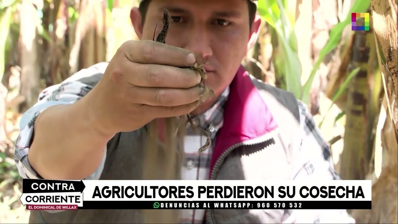 Contra Corriente - NOV 03 - LA SEQUÍA QUE ASFIXIA A LOS PIURANOS | Willax