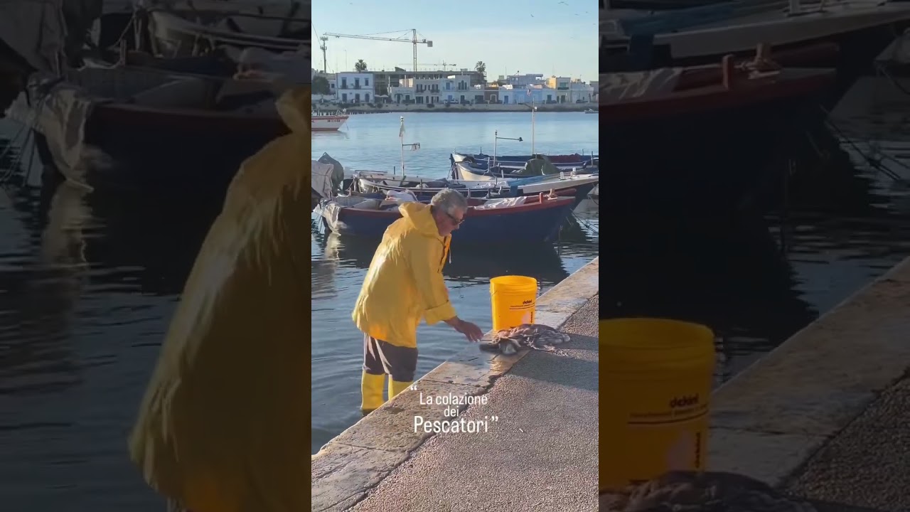 🎒Polpo appena pescato