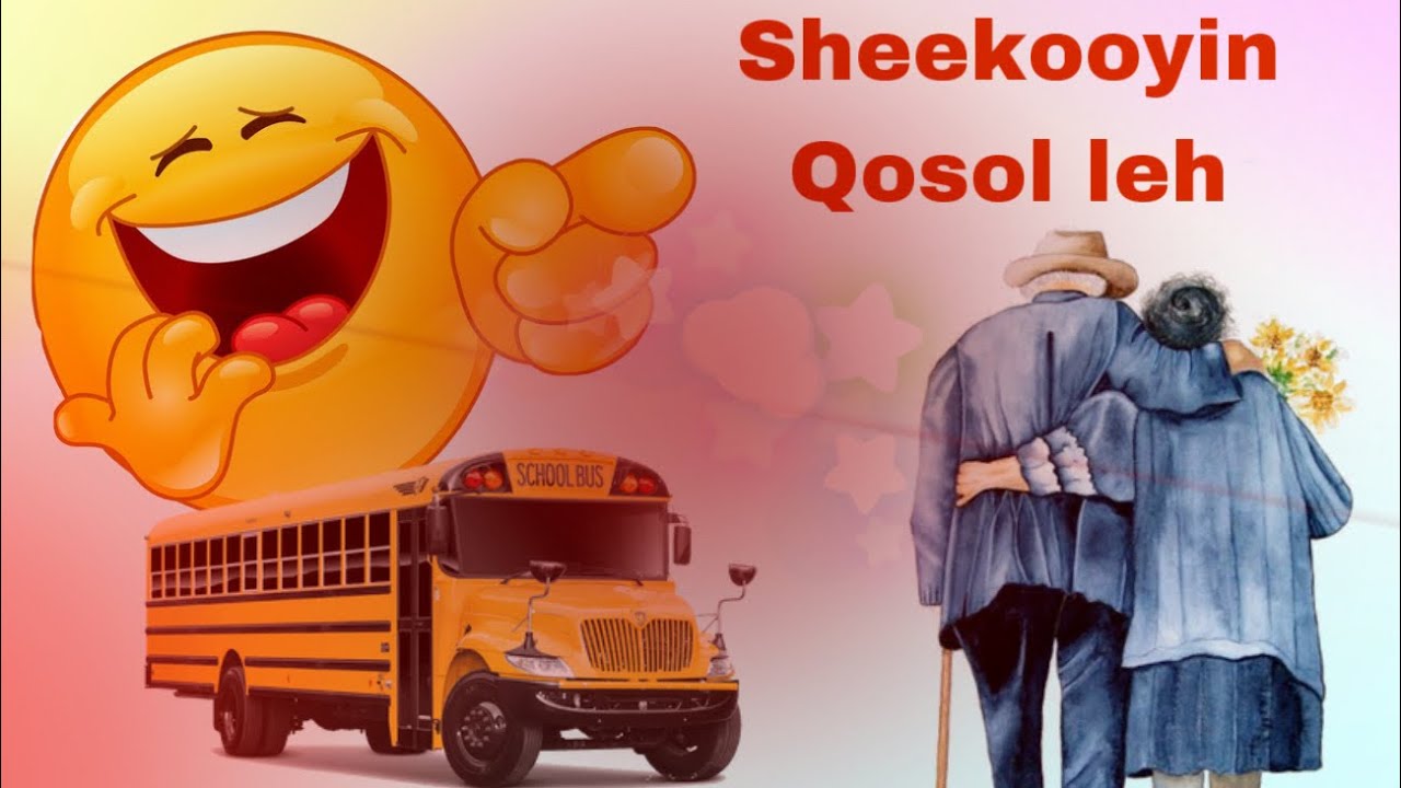 Sheekooyin Qosol Leh: Waayeelkii dib u celiyay safarka & qaar kale.