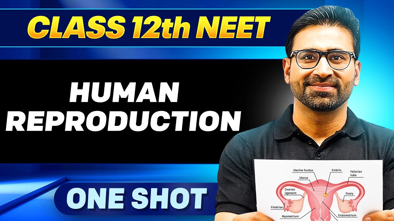 HUMAN REPRODUCTION in ONE SHOT || All Concepts, Tricks & PYQ || Ummeed NEET