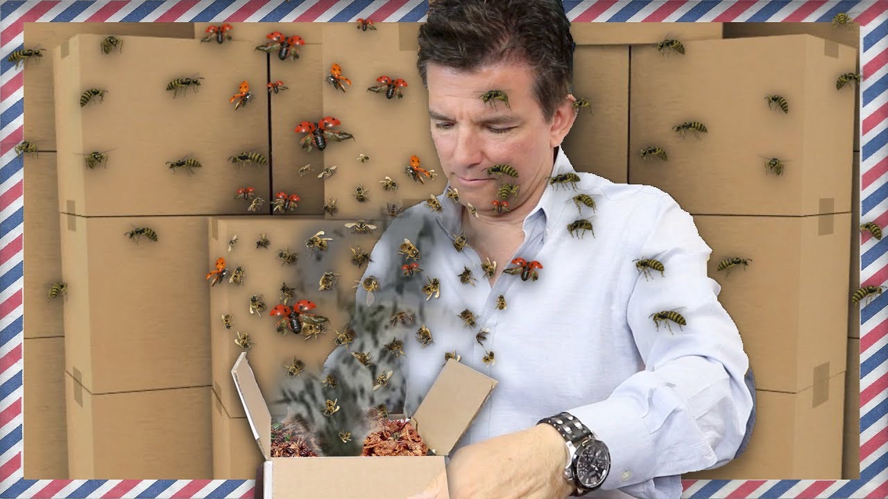 SOMEONE SENT ME BUGS IN THE MAIL [Fan Mail Unboxing] | Butch Hartman