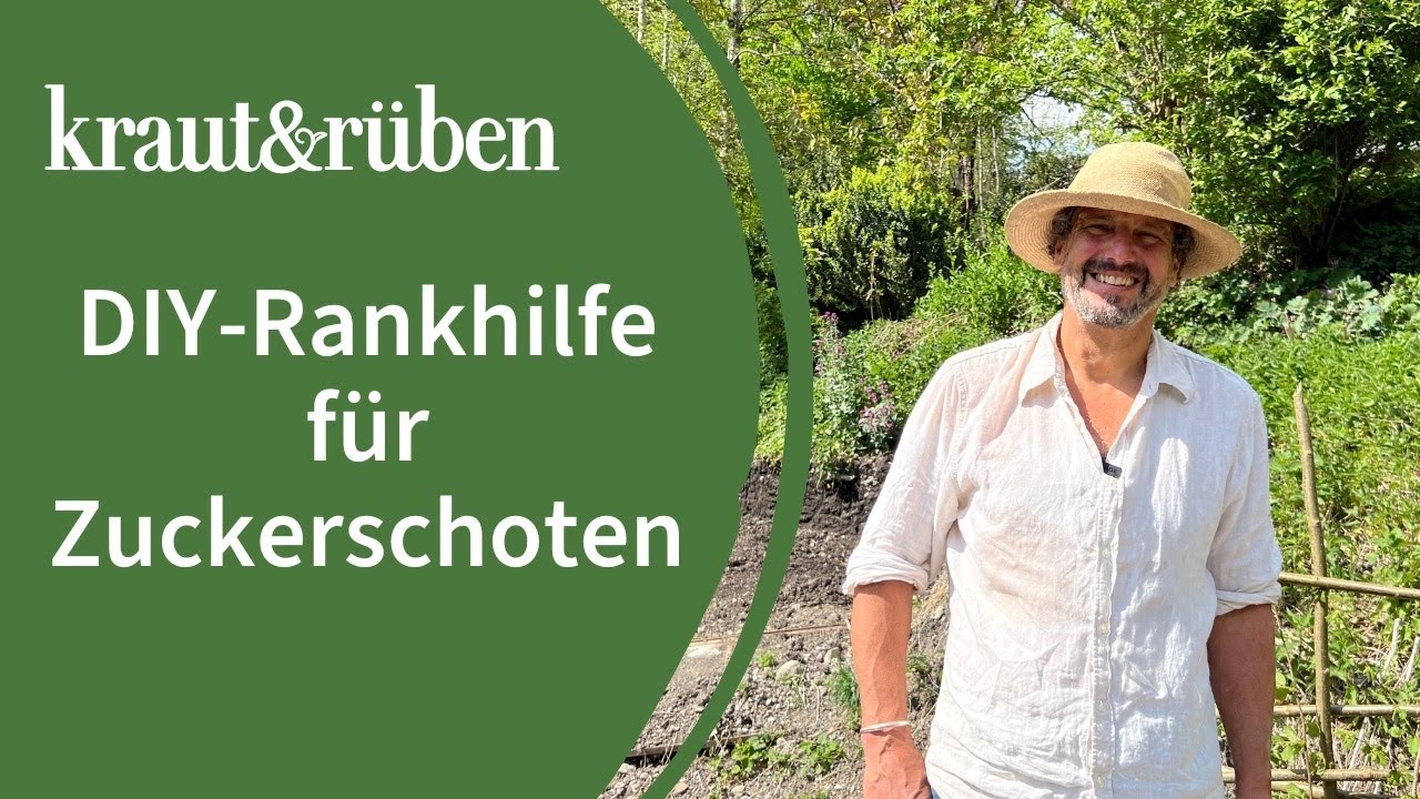 Rankhilfe für Zuckerschoten selber bauen
