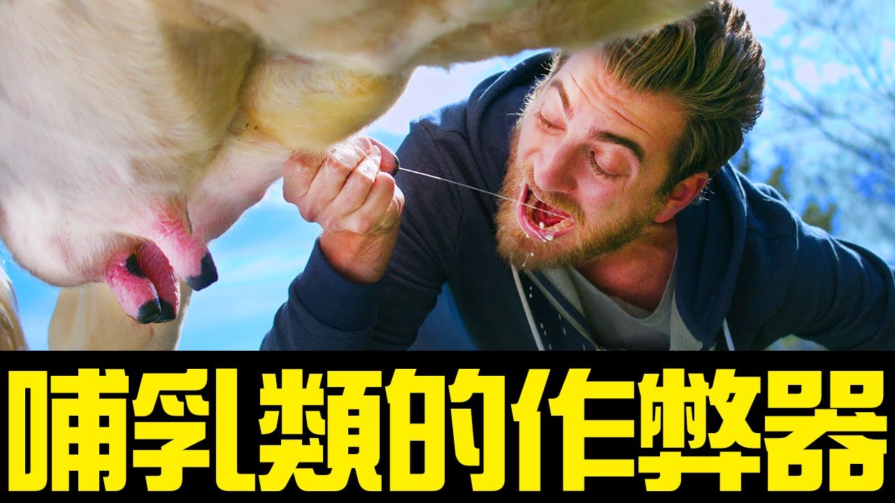 龍獸爭霸期，獸族面臨滅頂之災，哺乳類是如何通過一系列作弊器一樣的黑科技挽救獸族地位的？人類是如何成為哺乳類動物中的奇葩的？丨黑毛羊駝