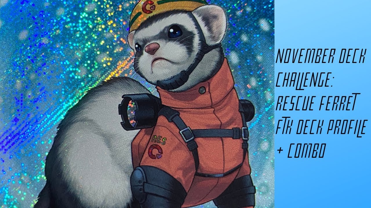 Rescue Ferret FTK Deck Profile + Combo - November 2019 Deck Challenge