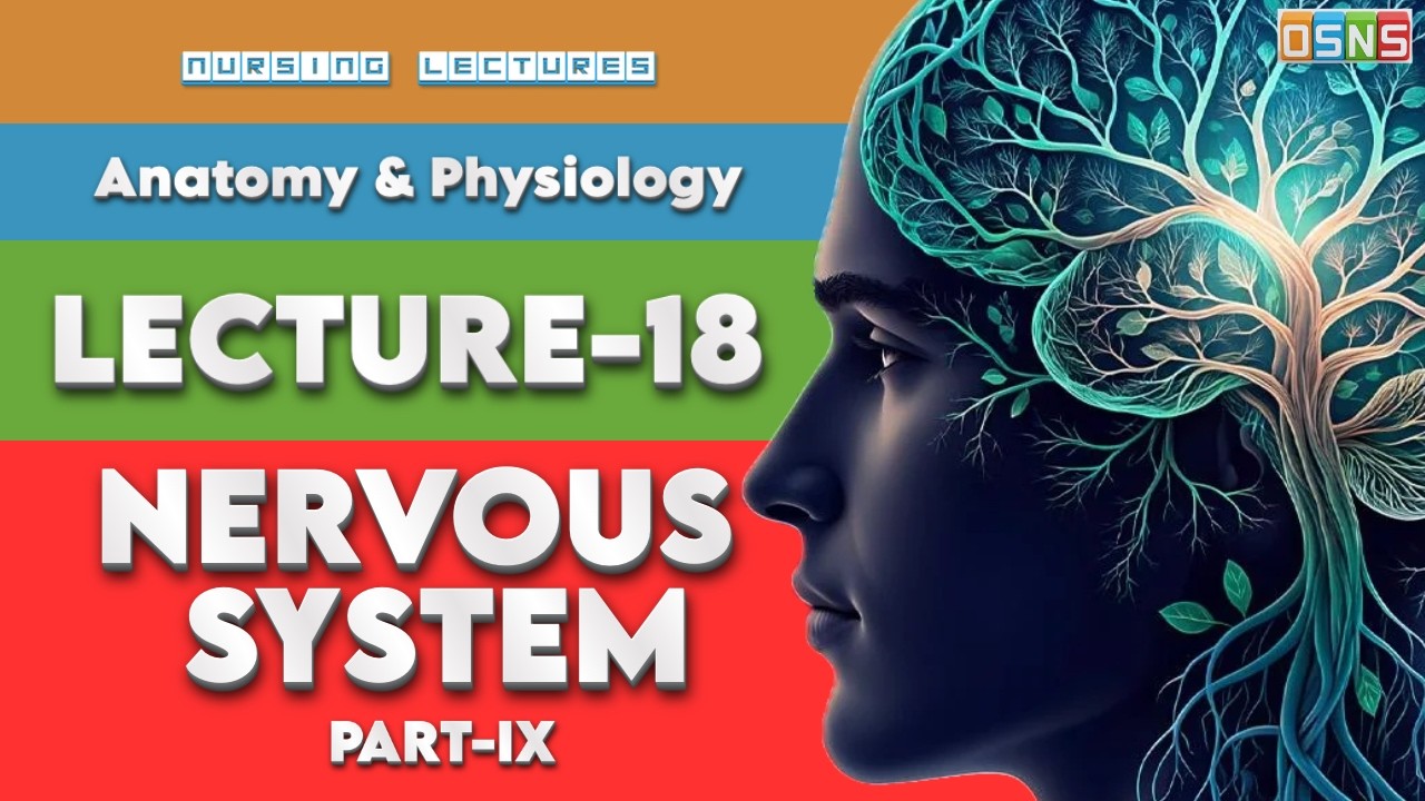 Spinal Nerves, Roots & Plexus Explained | Nervous System Part 9 | Lecture 18 | OSNS