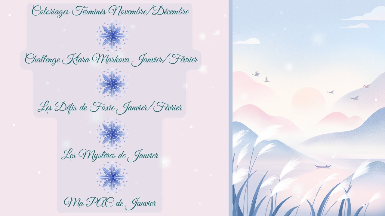 ❄️❄️On termine Novembre/Décembre avec des COLORIAGES TERMINÉS et on part pour Janvier/Février !🎨🎨
