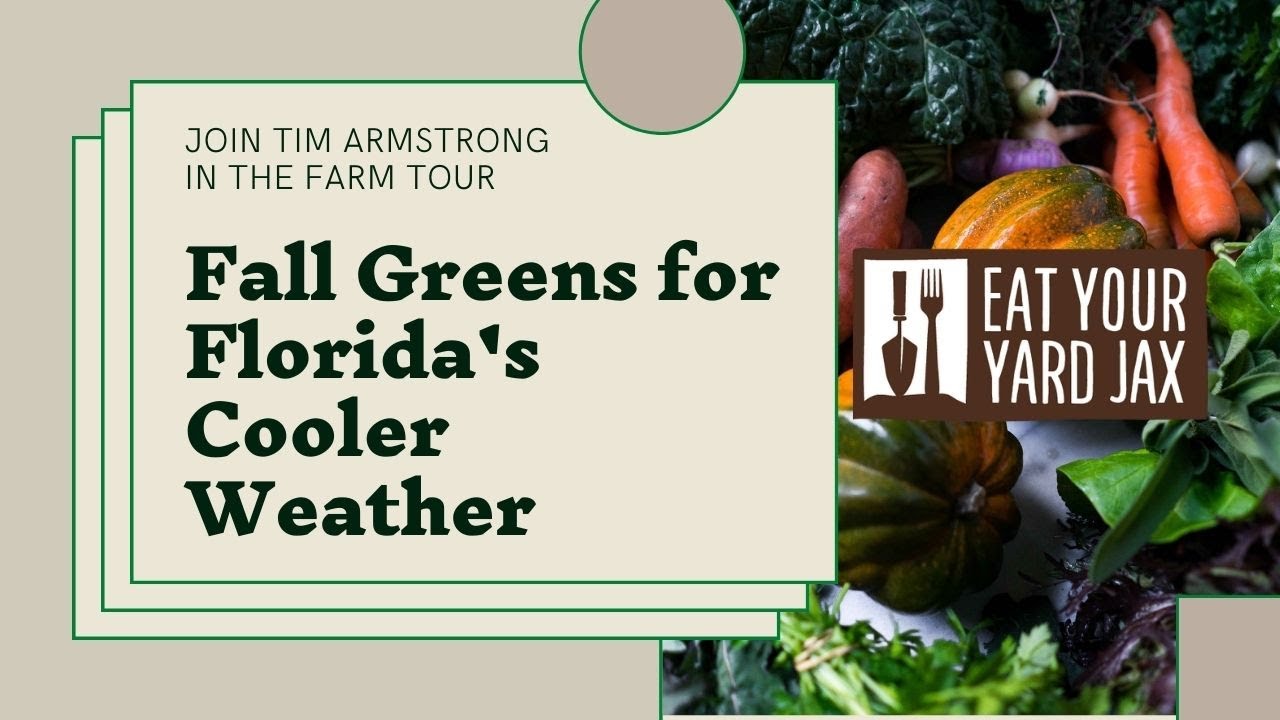 🍃 Fall into Greens: A Tour of the Farm and My Favorite Fall Greens for Florida's Cooler Weather! 🍂🌿