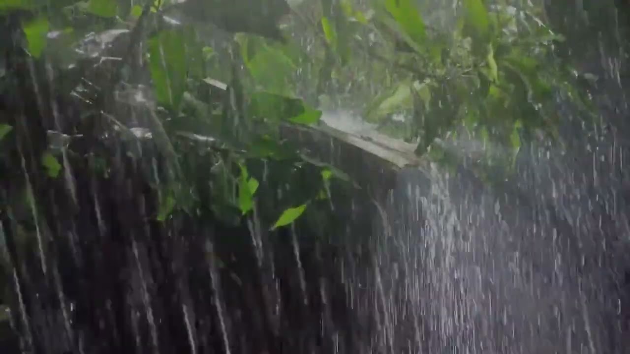 暴雨夜晚