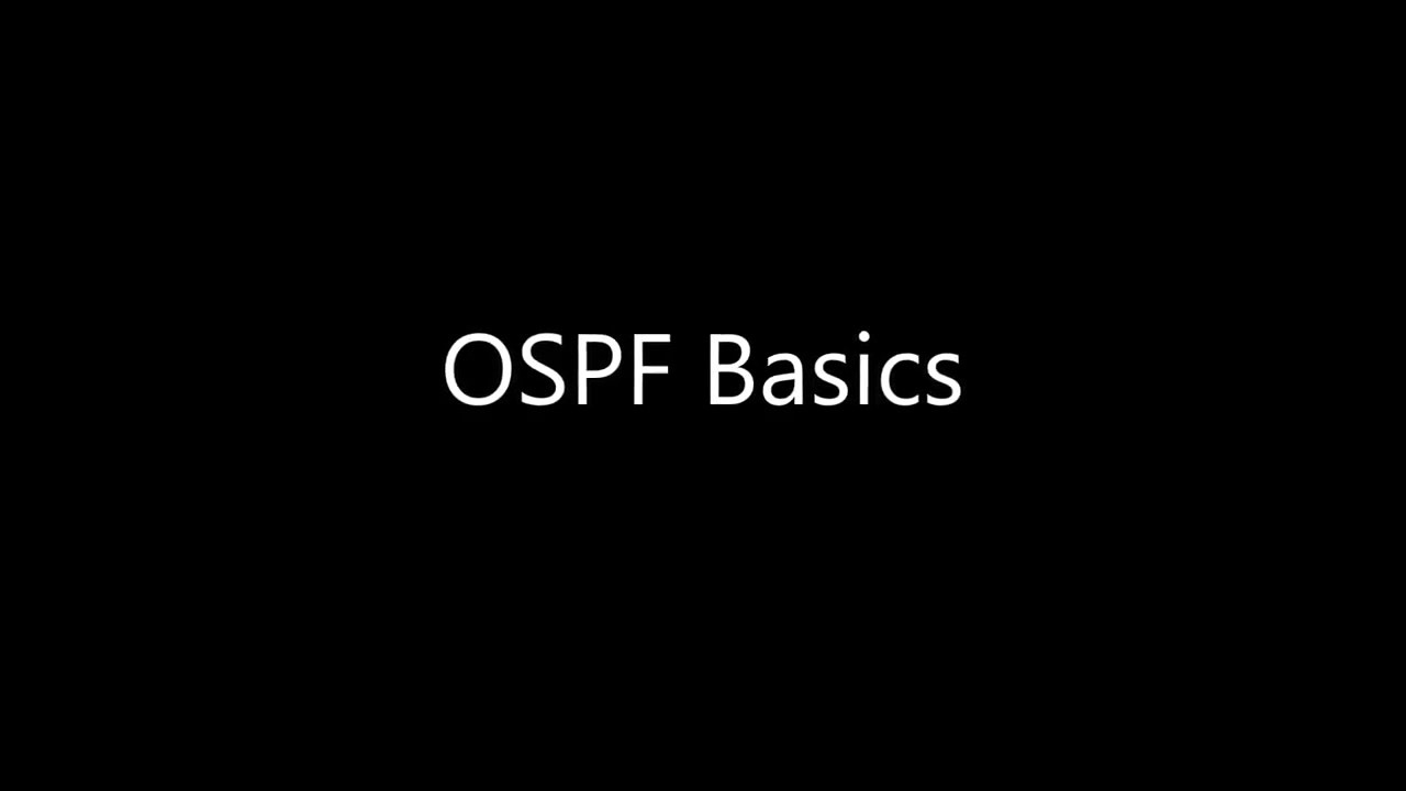OSPF Basics