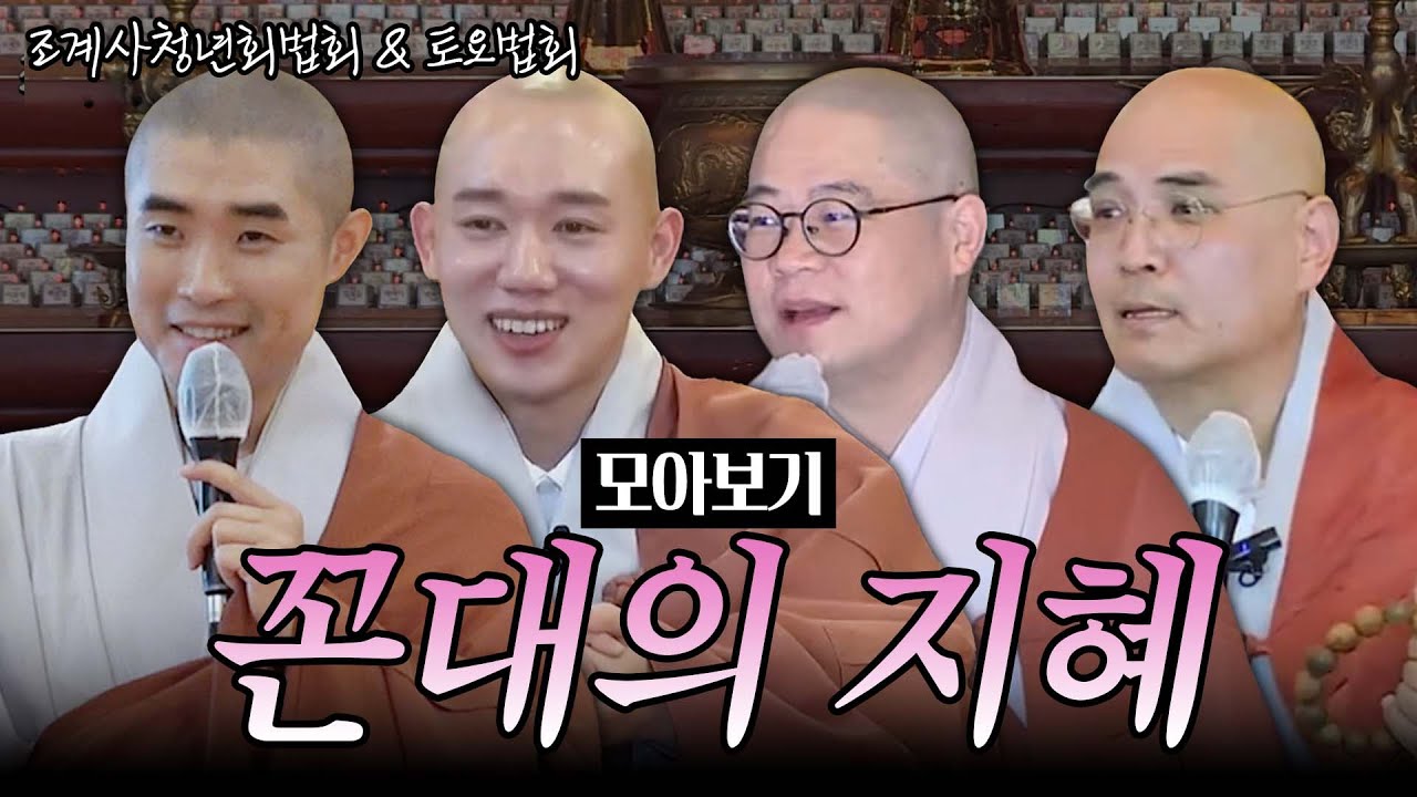 [#모아보기] 우리보다 큰 지혜를 가진 꼰대들의 이야기｜조계사청년회법회&토요법회