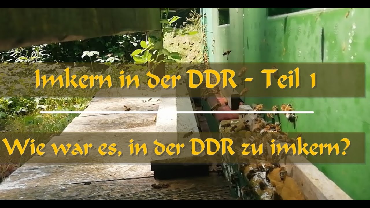Imkern in der DDR Teil1 - Wie war es in der DDR zu imkern? #imkern #bienen #ddr #ostalgie #bee
