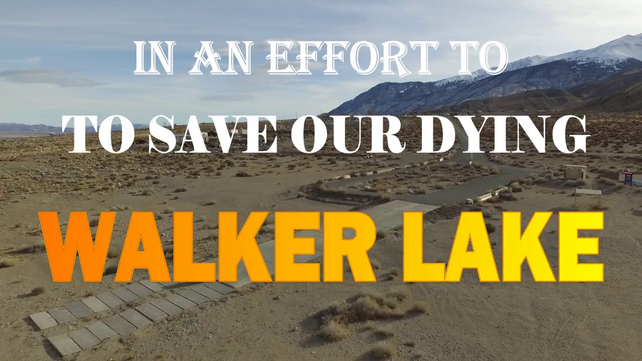 WALKER LAKE is dying.
