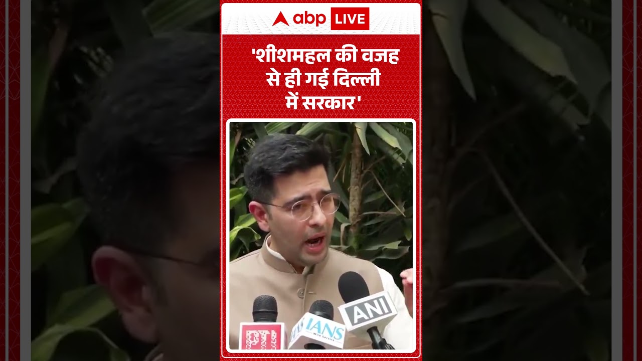 Raghav Chadha on Kejriwal : 'शीशमहल की वजह से ही गई दिल्ली में सरकार' #kejriwal #aapvsbjp #shorts