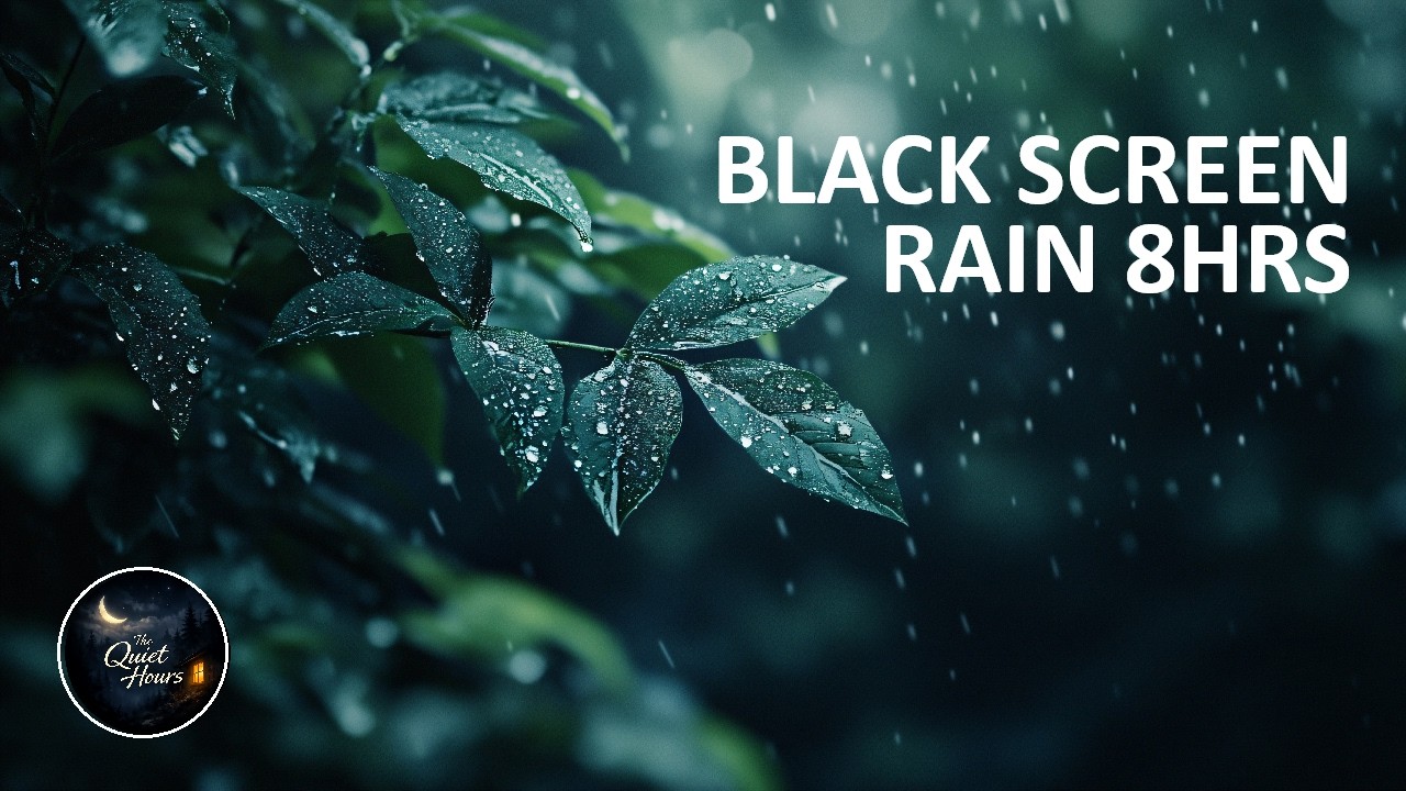 Rain on Leaves 🌧️🍃 8 Hours | Deep Sleep, Anxiety Relief & Calm Meditation (Black Screen, No Music)