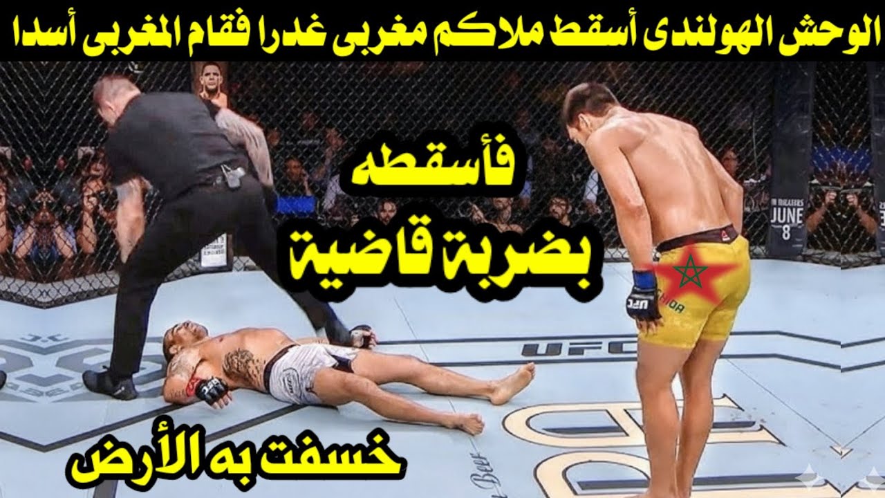 الوحش الهولندى أسقط ملاكم مغربى غدرا فقام المغربى أسدا فأسقطه بضربة قاضية خسفت به الأرض 