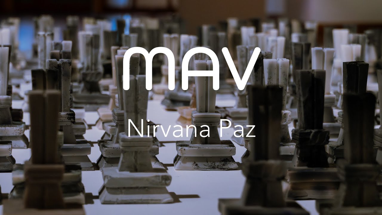 Martes de Artes Visuales - Daños colaterales de Nirvana Paz